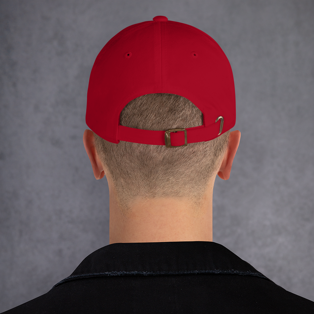 Embroidered "He's On the List" Hat - Make America Great Again, Patriotic Gift, Parody, Baseball Hat for Men & Women, Epstein